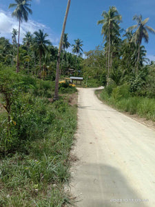 Lot for sale 62,318 sqm clean title Dumanjug Cebu 250/sqm net