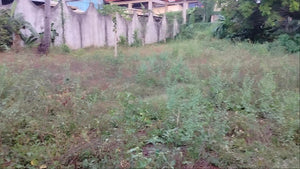 Lot for sale 400 sqm at back of Public Market San Remegio Cebu