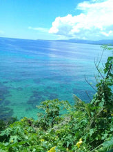 Load image into Gallery viewer, Beach lot for sale 1,500 sqm title Guindulman Bohol 12m negotiable