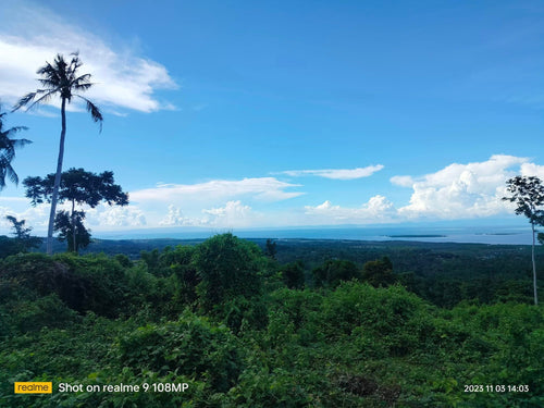 Lot for sale 7,099 sqm clean title Clarin Bohol 300/sqm