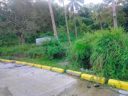 Lot for sale 8,012 sqm title at Mabini Cebu City 1,000/sqm negotiable