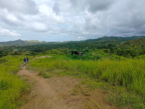 Seaview Lot for sale 1 hectares Buenavista Bohol 1.5m negotiable