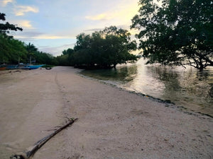 Beach lot for sale 5,000 sqm Tuburan Cebu 4,000/sqm