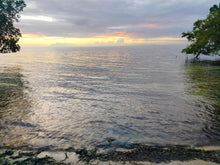 Load image into Gallery viewer, Beach lot for sale 5,000 sqm Tuburan Cebu 4,000/sqm