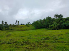 Load image into Gallery viewer, Overlooking lot for sale along river Ubay Bohol 1.5m