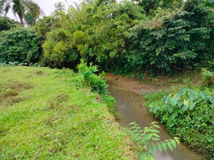 Overlooking lot for sale along river Ubay Bohol 1.5m