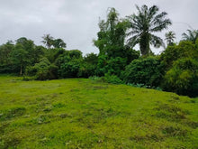 Load image into Gallery viewer, Overlooking lot for sale along river Ubay Bohol 1.5m