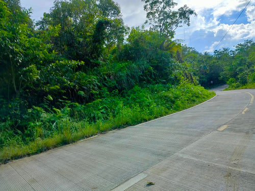 Lot for sale 4.8 hectares clean title Tagbilaran City Bohol Philippines 2,500/sqm net