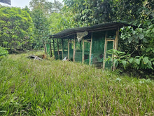 Load image into Gallery viewer, 7,243 sqm clean title for sale in Corella Bohol 500/sqm