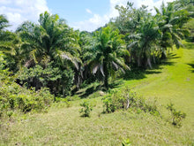 Load image into Gallery viewer, 14 hectares title at Carmen Bohol