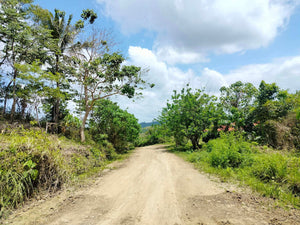 14 hectares title at Carmen Bohol