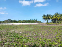 Load image into Gallery viewer, 16,000 sqm lot for sale with coconut trees at Tuburan Cebu