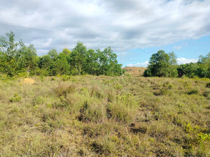 2.6 Hectares at Bagacay, Talibon, Bohol