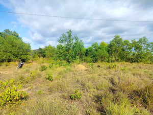 2.6 Hectares at Bagacay, Talibon, Bohol