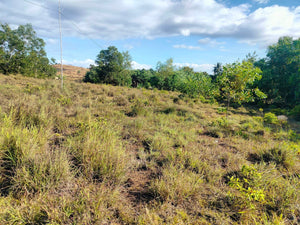 2.6 Hectares at Bagacay, Talibon, Bohol