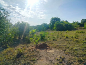 2.6 Hectares at Bagacay, Talibon, Bohol