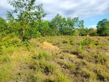 Load image into Gallery viewer, 2.6 Hectares at Bagacay, Talibon, Bohol