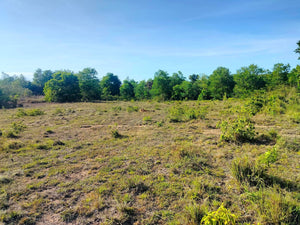 2.6 Hectares at Bagacay, Talibon, Bohol