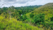 Load image into Gallery viewer, 21 hectares at Catigbian, Bohol for 25,000,000 (negotiable)