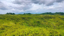 Load image into Gallery viewer, 21 hectares at Catigbian, Bohol for 25,000,000 (negotiable)