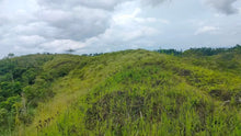 Load image into Gallery viewer, 21 hectares at Catigbian, Bohol for 25,000,000 (negotiable)