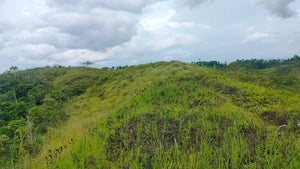 21 hectares at Catigbian, Bohol for 25,000,000 (negotiable)