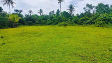 Load image into Gallery viewer, 21 hectares at Catigbian, Bohol for 25,000,000 (negotiable)