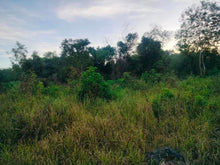 Load image into Gallery viewer, Lot for Sale 1,710 sqm with Clean Title at Panglao, Bohol