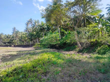 Load image into Gallery viewer, 16,000 sqm lot for sale with coconut trees at Tuburan Cebu