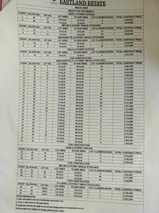 Eastland Estate Subdivision in Yati Liloan Cebu for as low as Php 5.4M