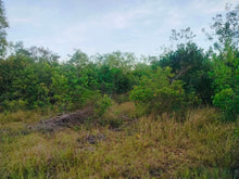 Load image into Gallery viewer, Lot for Sale 1,710 sqm with Clean Title at Panglao, Bohol