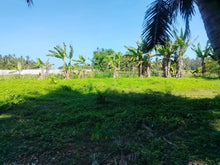 Load image into Gallery viewer, 16,000 sqm lot for sale with coconut trees at Tuburan Cebu