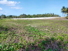 Load image into Gallery viewer, 16,000 sqm lot for sale with coconut trees at Tuburan Cebu