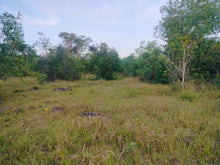 Load image into Gallery viewer, Lot for Sale 1,710 sqm with Clean Title at Panglao, Bohol