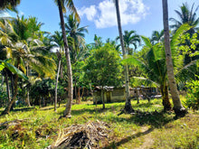 Load image into Gallery viewer, 16,000 sqm lot for sale with coconut trees at Tuburan Cebu