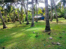 Load image into Gallery viewer, 16,000 sqm lot for sale with coconut trees at Tuburan Cebu