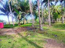 Load image into Gallery viewer, 16,000 sqm lot for sale with coconut trees at Tuburan Cebu