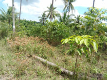 Load image into Gallery viewer, Lot For Sale 8,572 sqm for 300/sqm With Clean Title Rosario, Aloguinsan, Cebu, Philippines