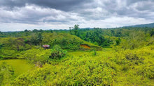 Load image into Gallery viewer, 21 hectares at Catigbian, Bohol for 25,000,000 (negotiable)