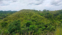 Load image into Gallery viewer, 21 hectares at Catigbian, Bohol for 25,000,000 (negotiable)