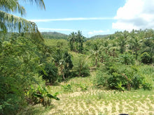 Load image into Gallery viewer, Lot For Sale 8,572 sqm for 300/sqm With Clean Title Rosario, Aloguinsan, Cebu, Philippines