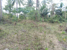 Load image into Gallery viewer, Lot For Sale 8,572 sqm for 300/sqm With Clean Title Rosario, Aloguinsan, Cebu, Philippines