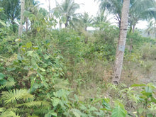 Load image into Gallery viewer, Lot For Sale 8,572 sqm for 300/sqm With Clean Title Rosario, Aloguinsan, Cebu, Philippines