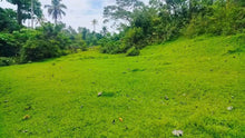 Load image into Gallery viewer, 21 hectares at Catigbian, Bohol for 25,000,000 (negotiable)