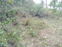 Load image into Gallery viewer, Lot For Sale 8,572 sqm for 300/sqm With Clean Title Rosario, Aloguinsan, Cebu, Philippines