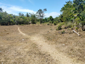 Lot For Sale Talibon Bohol 3,477 Sqm Propertyph