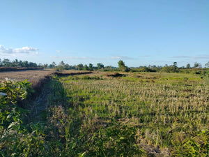 Lot For Sale Alicia Bohol 45,000 Sqm Propertyph