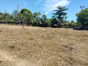 Lot For Sale Talibon Bohol 3,477 Sqm Propertyph