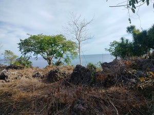 Beah Lot For Sale Guindulman Bohol 1,861 Sqm Propertyph