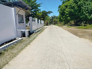 Lot For Sale Talibon Bohol 3,477 Sqm Propertyph